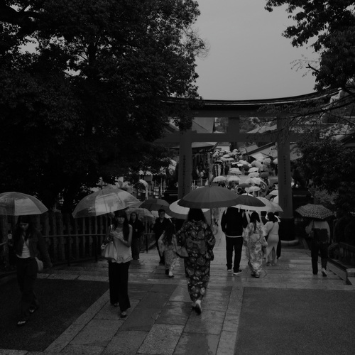 A River of Umbrellas