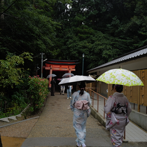 A Path Beneath Umbrellas