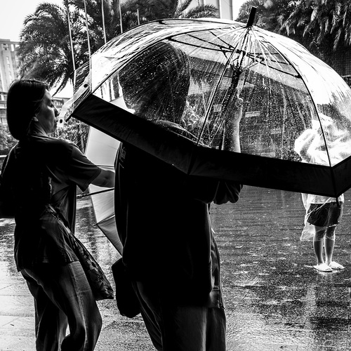 Under the Glass Sky