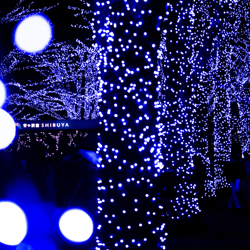 Photo #14164660