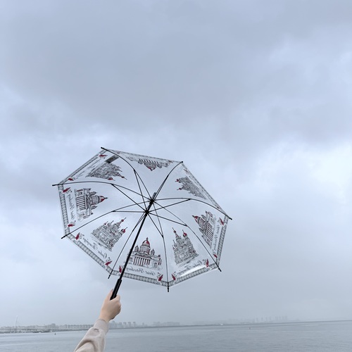 Photo #14164754