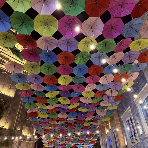 Photo #14164755