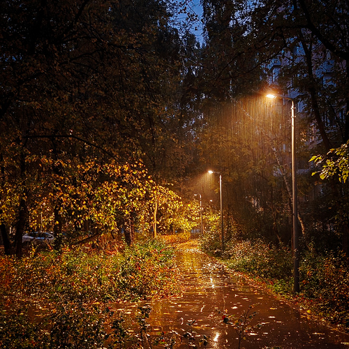 Photo #14164865