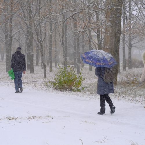 Photo #14164997