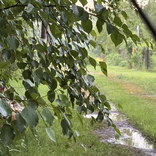 Photo #14165144