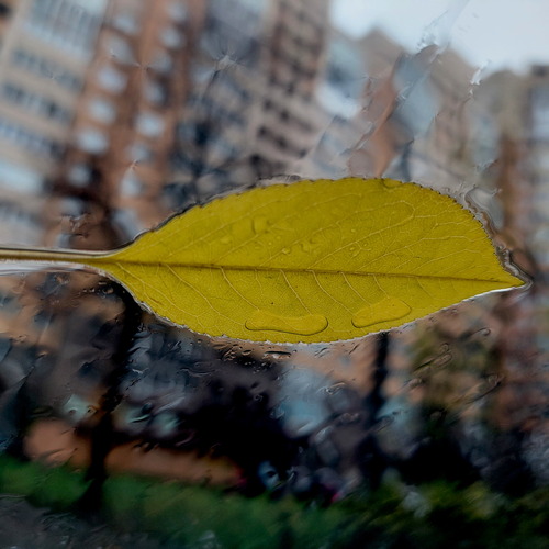 Photo #14165268