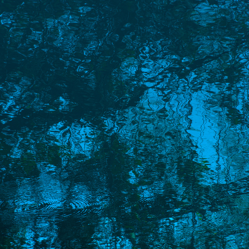 Blue Reverie