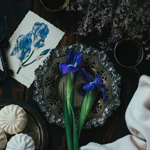 Photo #14165433