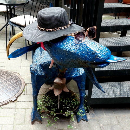 Photo #14165549