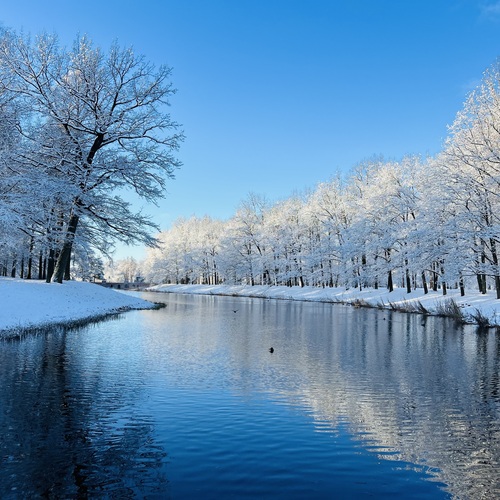 Photo #14165559
