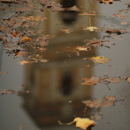 Photo #14165640