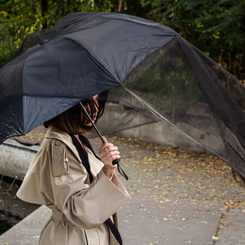 Photo #14165659
