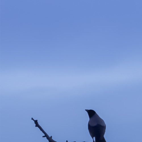 Photo #14165760