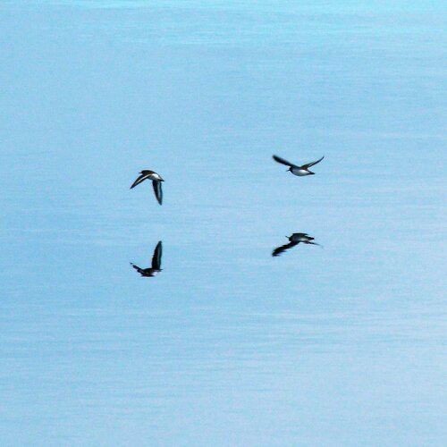 Photo #14166101