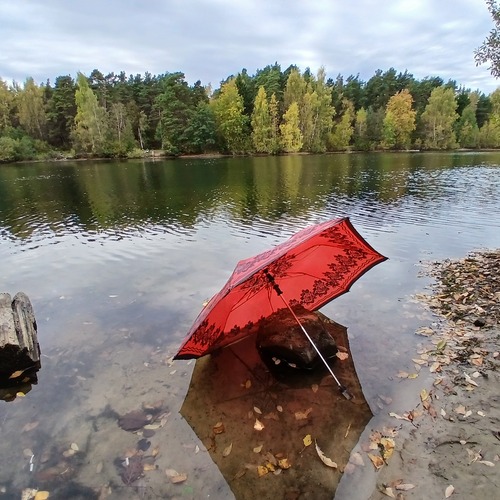 Photo #14166139
