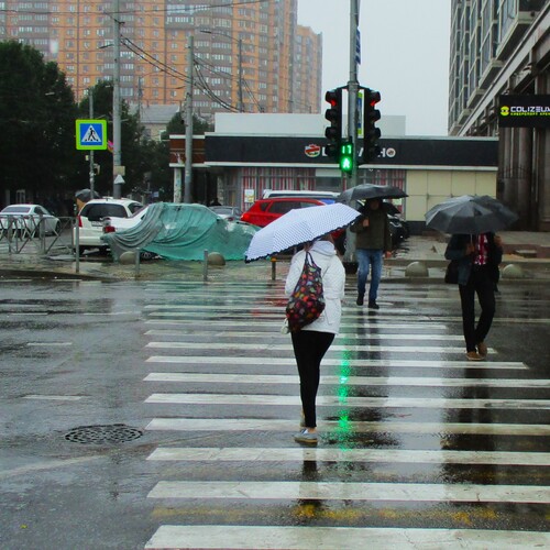 Photo #14166269