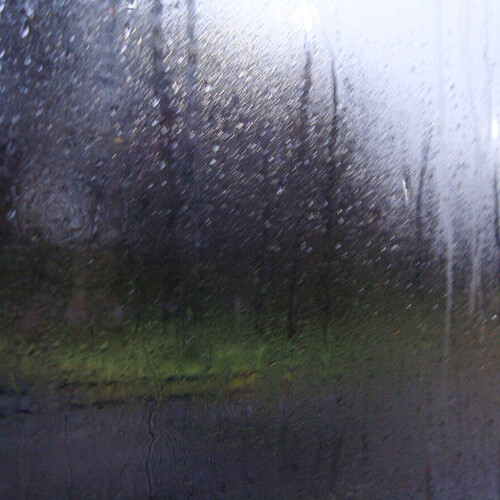 Photo #14166317