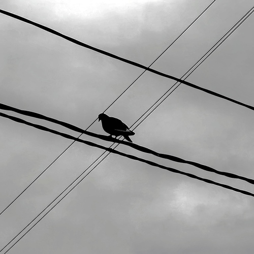 Photo #14166383