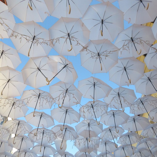White umbrellas