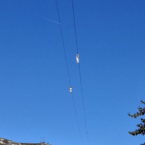 Photo #14166398