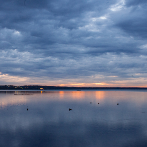 Photo #14166535