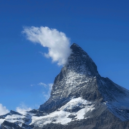 Photo #14166663