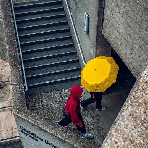 Yellow Umbrelle