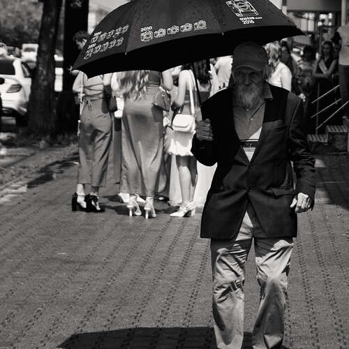 Photo #14166790