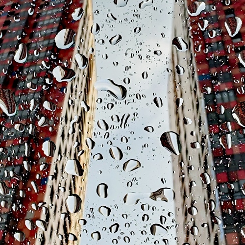 Photo #14167295