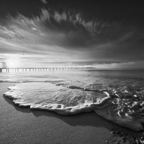Photo #14167620