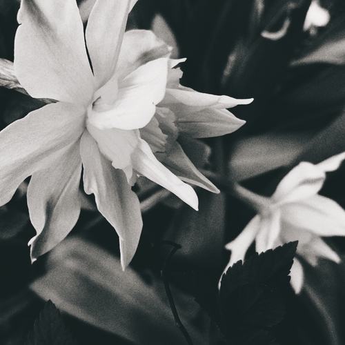 Photo #14167643