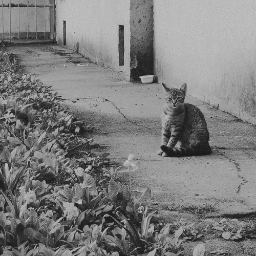 Photo #14167645