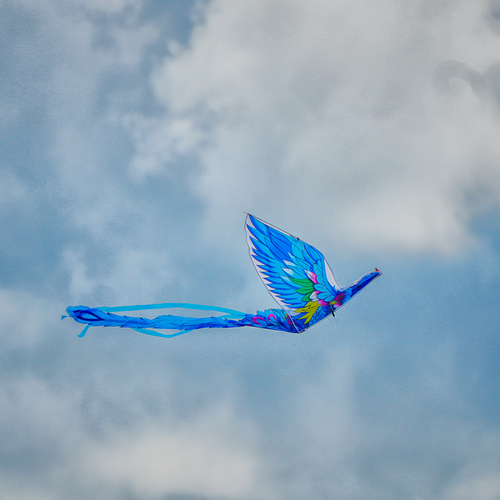 Photo #14167656