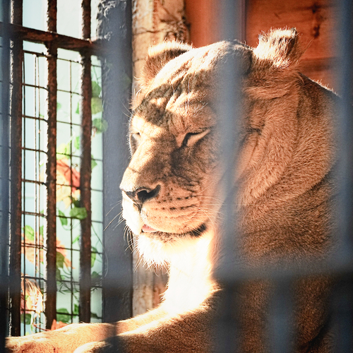 Photo #14167762