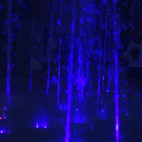 Photo #14168164