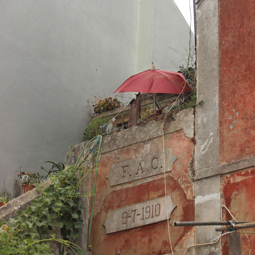 Photo #14168467