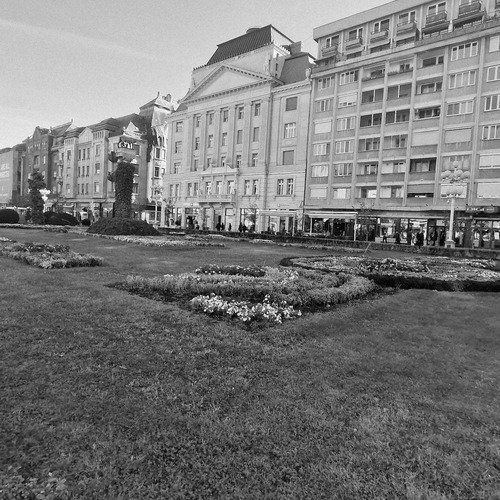 Photo #14168514
