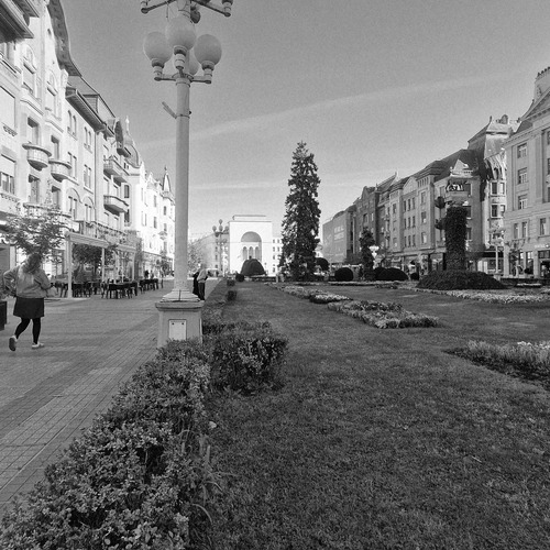 Photo #14168517