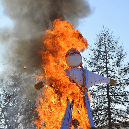 Photo #14168632