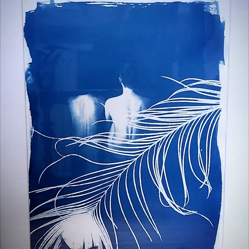 Photo #14168692