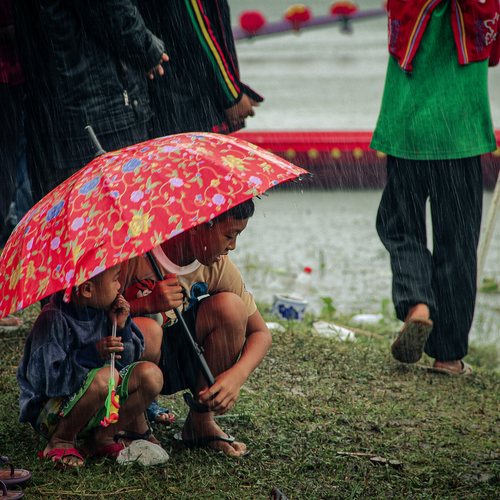 A Sanctuary in the Rain