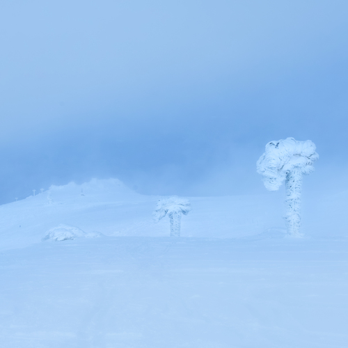 Photo #14169165