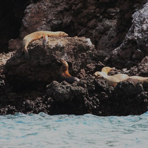 Photo #14169272