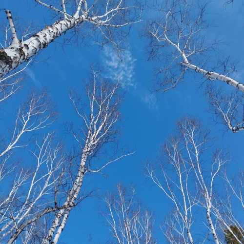Photo #14169288