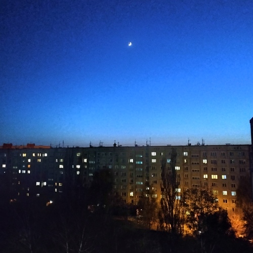Photo #14169305