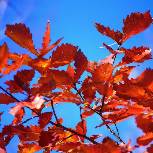 Photo #14169371