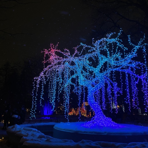 Photo #14169454