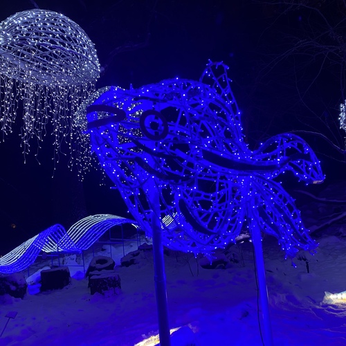 Photo #14169455