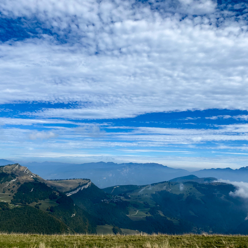Photo #14169456
