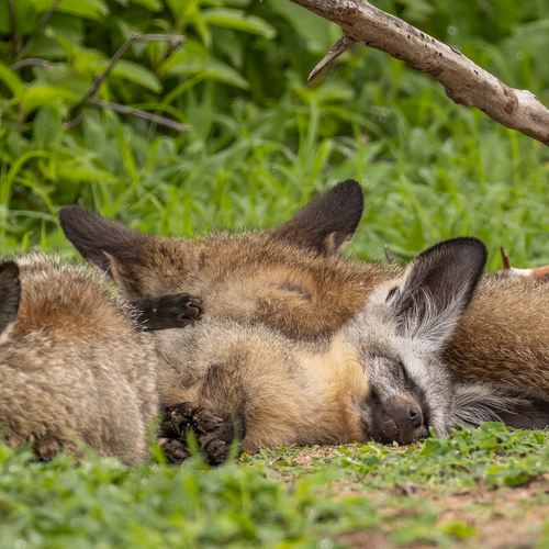 Photo #14169597